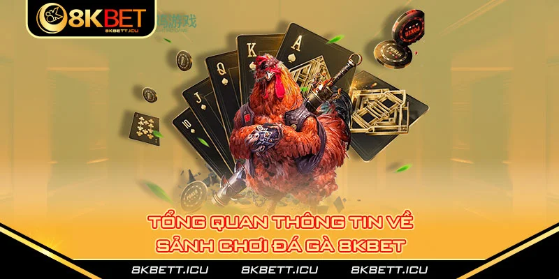 Tổng quan thông tin về sảnh chơi đá gà 8kbet  